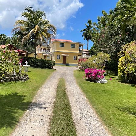 Little Shaw Park Guest House Ocho Rios Dış mekan fotoğraf