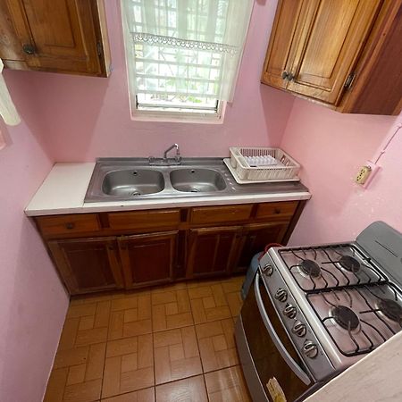 Little Shaw Park Guest House Ocho Rios Dış mekan fotoğraf