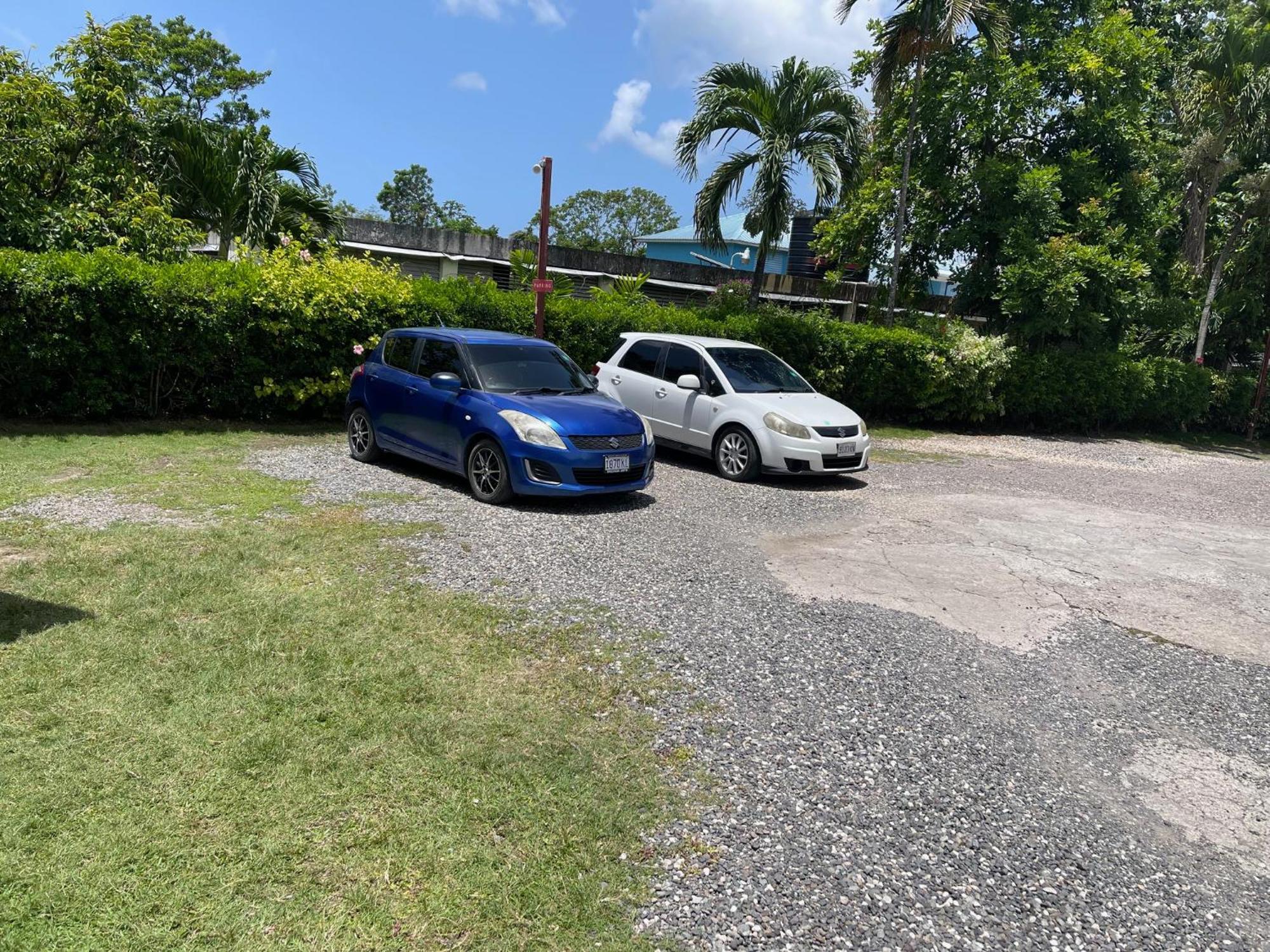 Little Shaw Park Guest House Ocho Rios Dış mekan fotoğraf