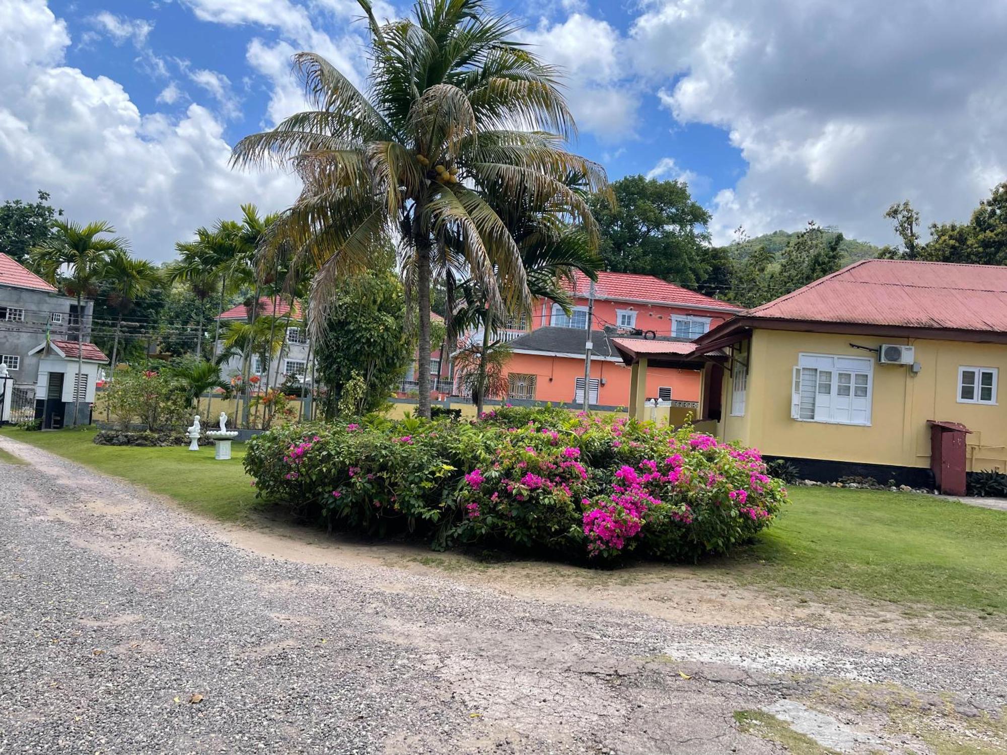 Little Shaw Park Guest House Ocho Rios Dış mekan fotoğraf