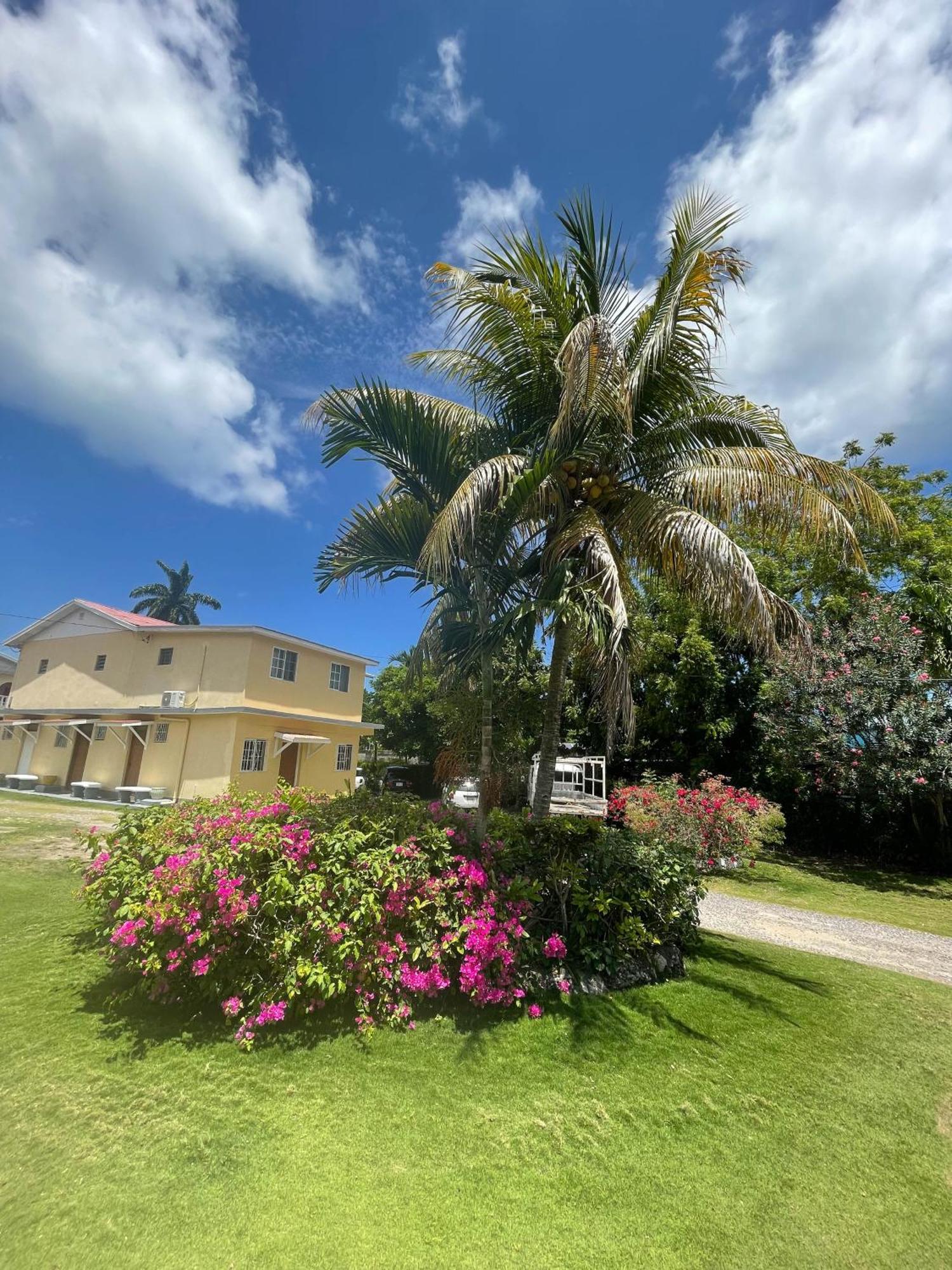 Little Shaw Park Guest House Ocho Rios Dış mekan fotoğraf